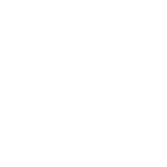 Daniel Island Flying Fish Logo - Crescent Moon Orthodontics in Summerville Daniel Island SC